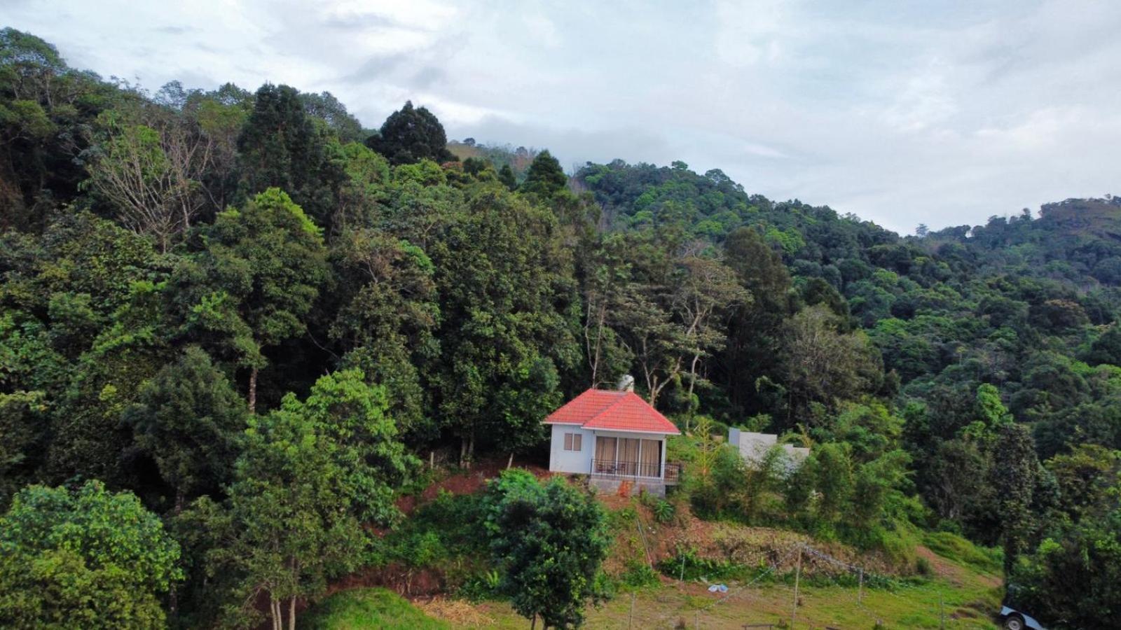 Misty Hideout Bed & Breakfast Kakkadampoyil Ngoại thất bức ảnh